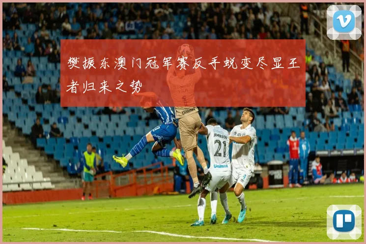 樊振东澳门冠军赛反手蜕变尽显王者归来之势