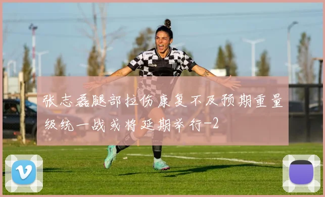 张志磊腿部拉伤康复不及预期重量级统一战或将延期举行