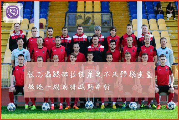 张志磊腿部拉伤康复不及预期重量级统一战或将延期举行
