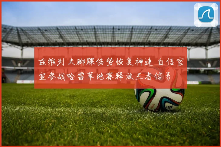 兹维列夫脚踝伤势恢复神速 自信官宣参战哈雷草地赛释放王者信号